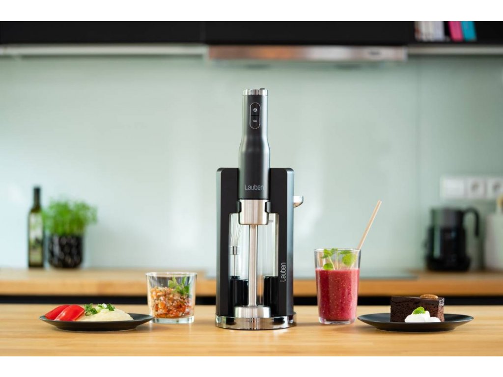 Lauben Stick Blender 800WT